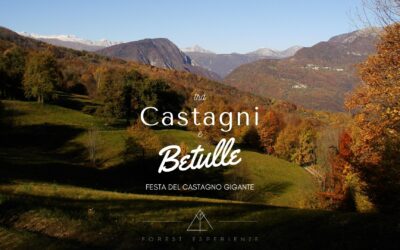 Sulla Kraguenza dai Castagni alle Betulle