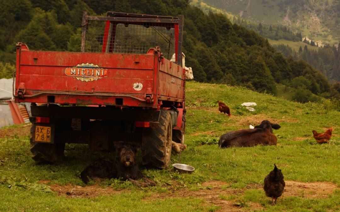 Rubrica di agroecologia – Bio o non bio?