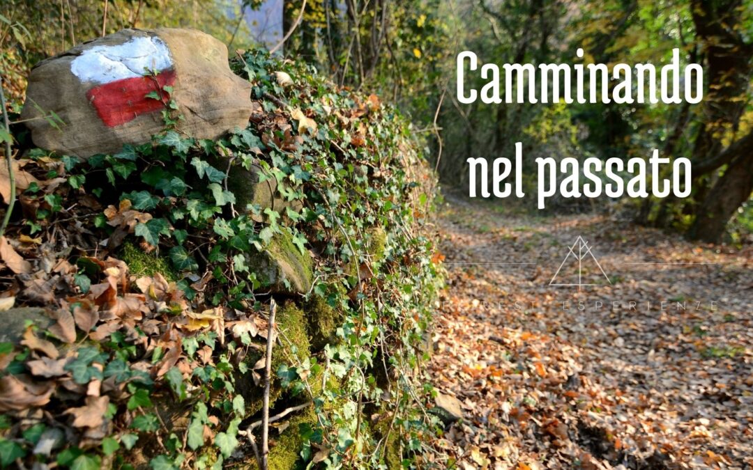 Anello di Pegliano: tra ruderi e castagni