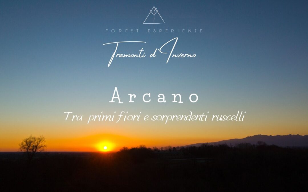 Tramonti d’Inverno tra le colline di Arcano