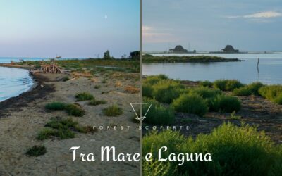 Ambienti lagunari, di foce e costieri del FVG – Formazione scientifica
