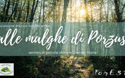 Alle Malghe di Porzus: sentieri di piccole storie e Grande Storia