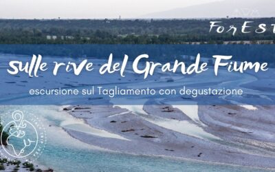 Escursione sulle rive del Grande Fiume