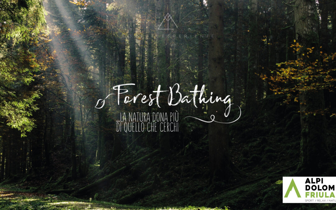 Introduzione al Forest Bathing tra boschi e torbiere