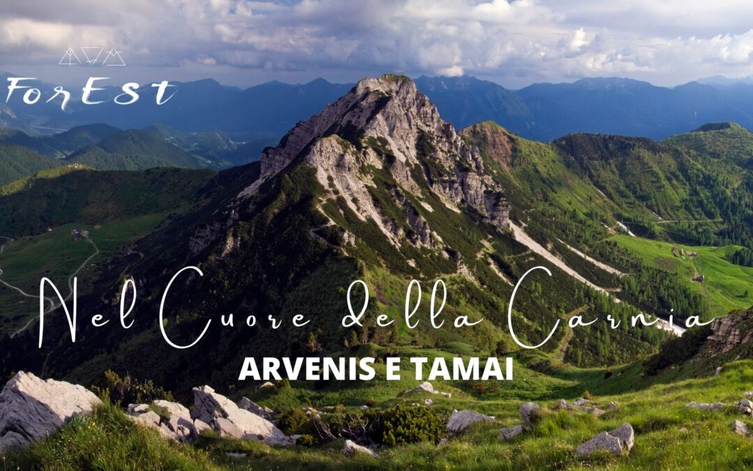 Salita ai monti Arvenis e Tamai