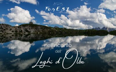 Escursione nell’incanto dei Laghi d’Olbe