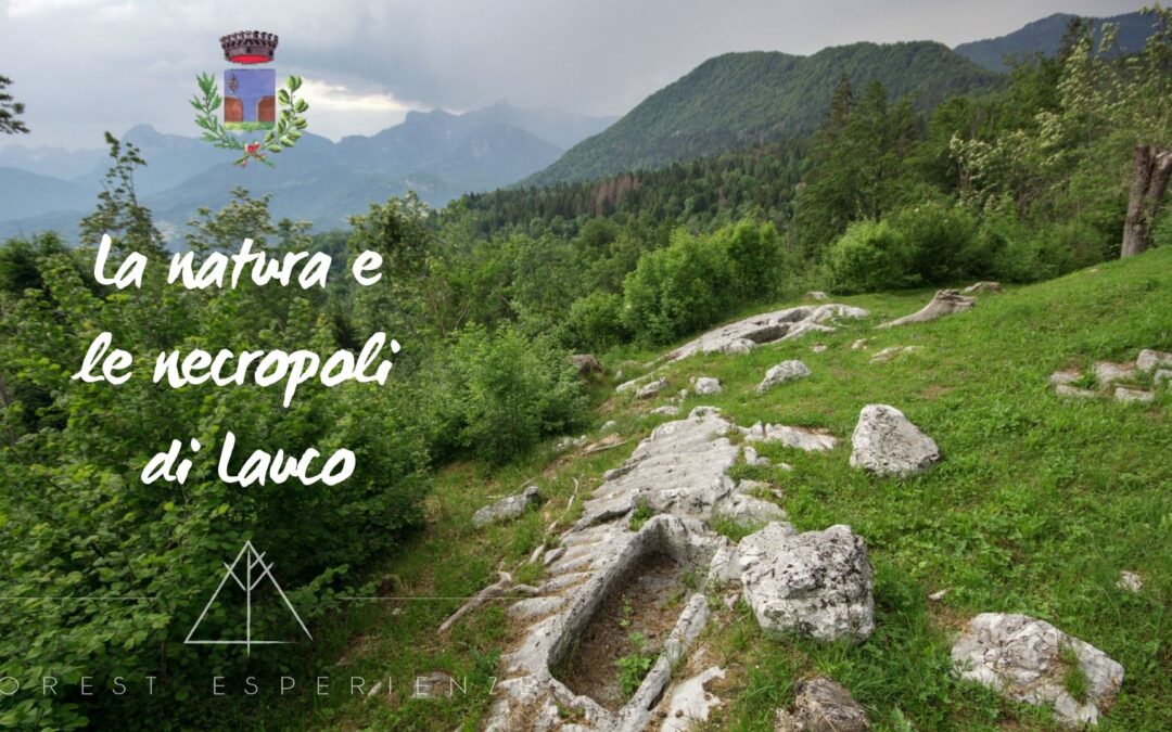 Escursione tra la natura e le necropoli di Lauco