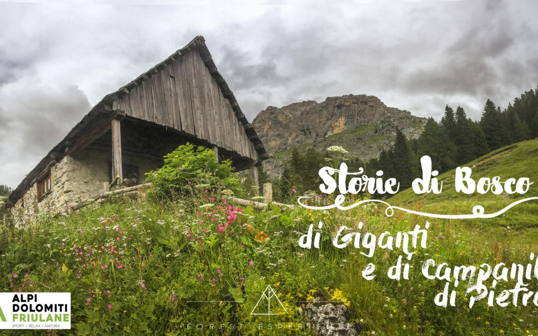 Anello nelle leggendarie Terre di Mimoias (Val Pesarina)