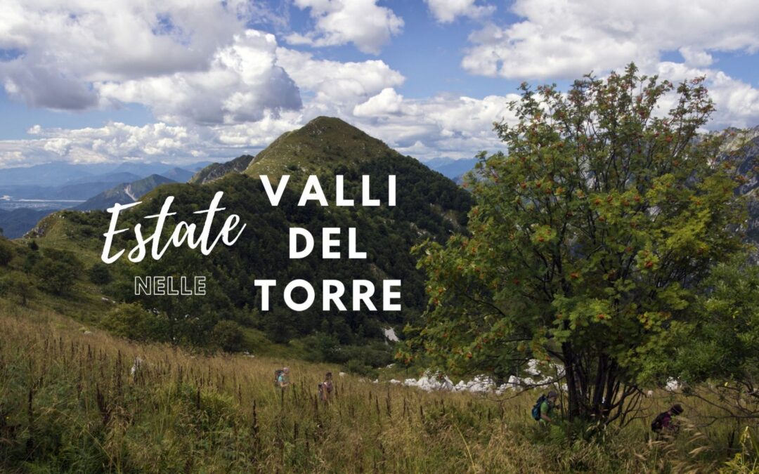 Escursione tra i faggi e le creste del Gran Monte