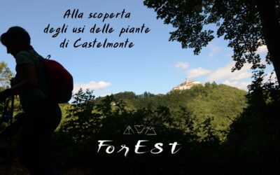 Alla scoperta delle piante di Castelmonte