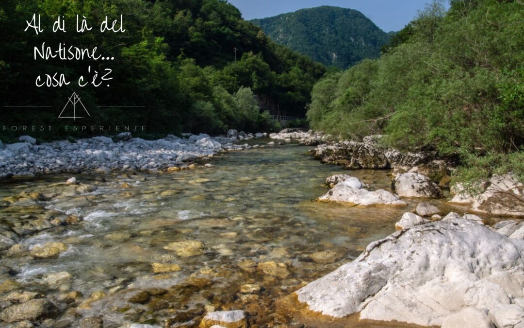 Passeggiata in angoli nascosti del Natisone