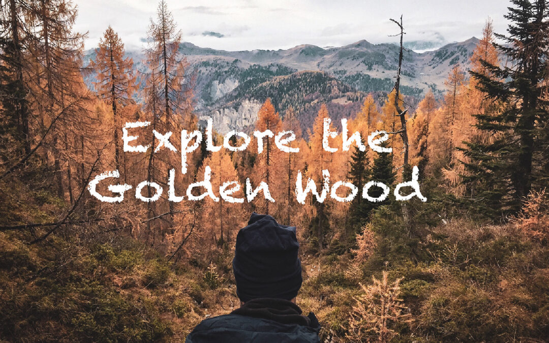 Tra i colori autunnali delle Casere Nauleni e Colmaier