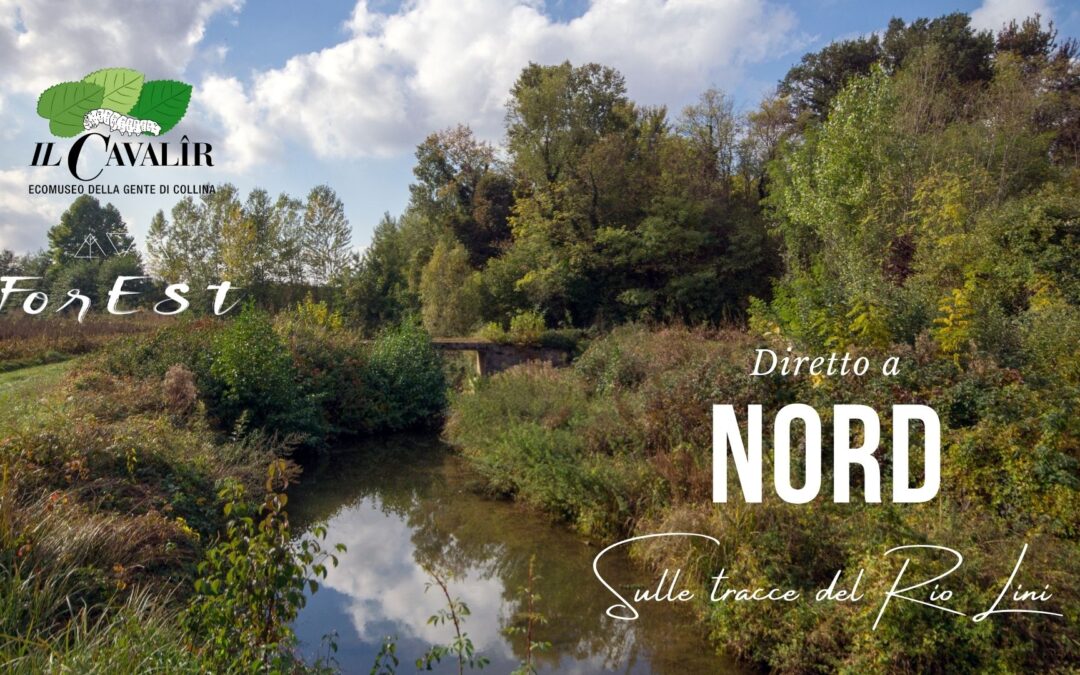 Passeggiata nelle terre del Lini