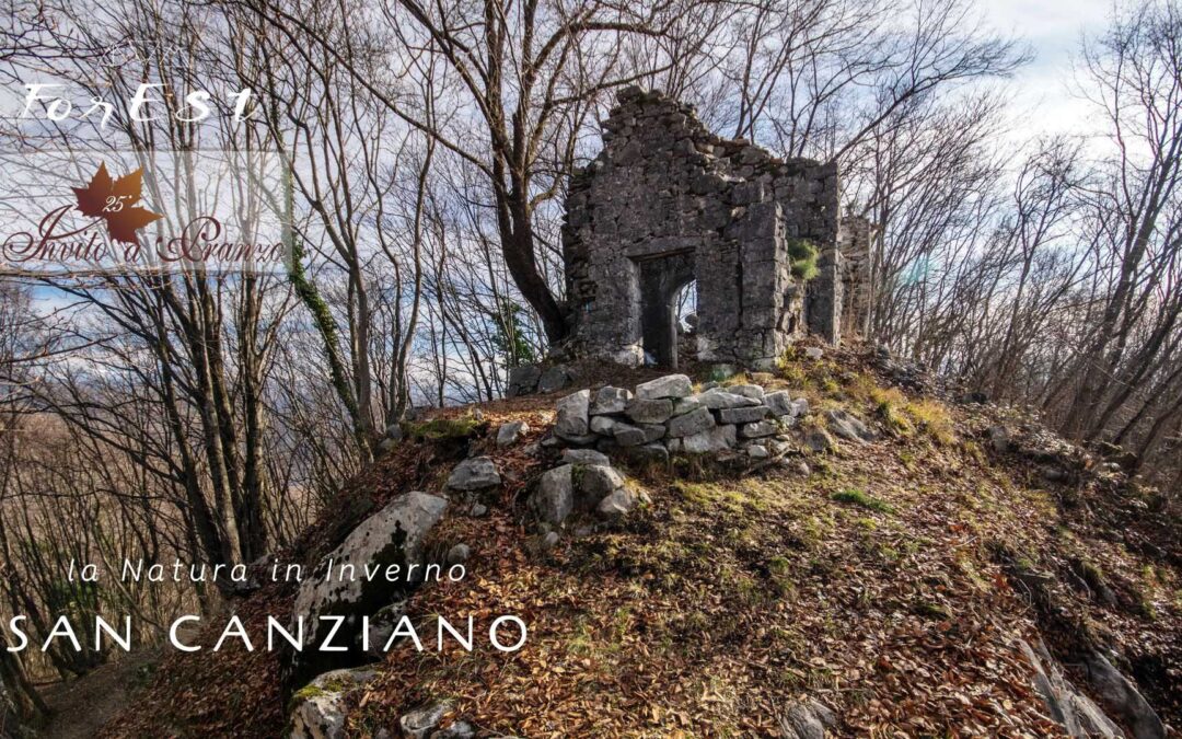 Il bosco d’Inverno – Sulla dorsale di San Canziano