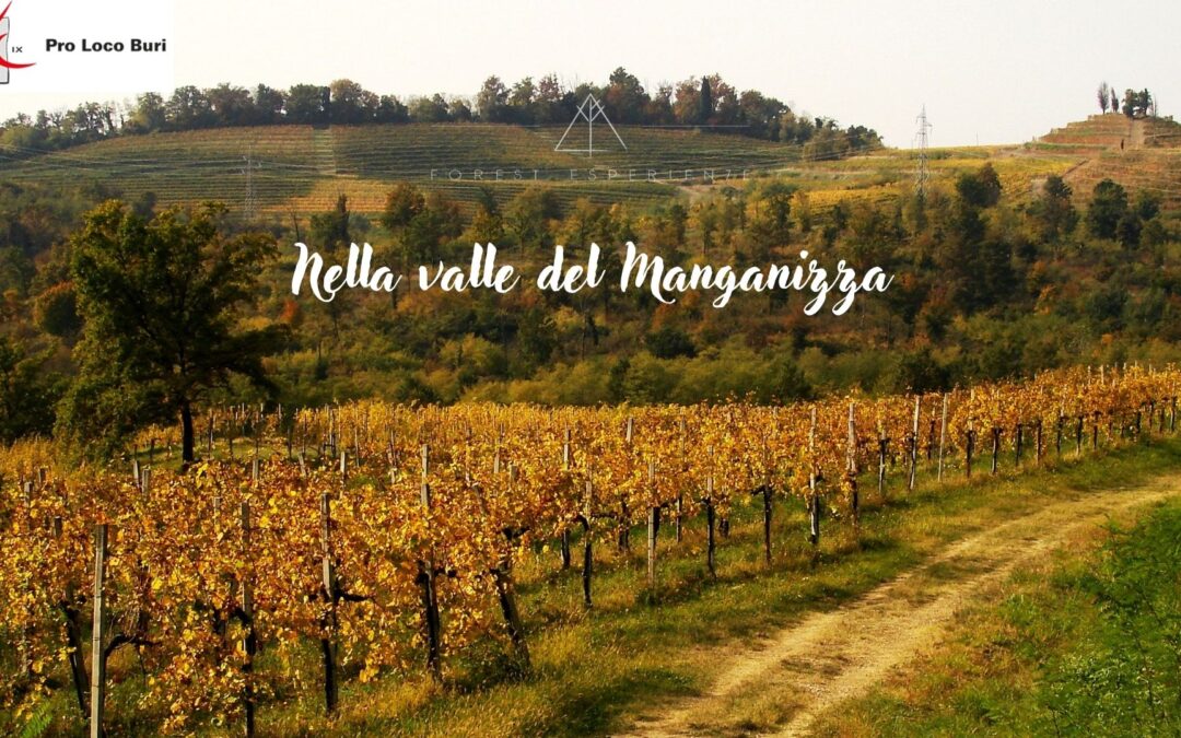 Tra boschi, vigneti e cipressi del Sentiero della Sdricca