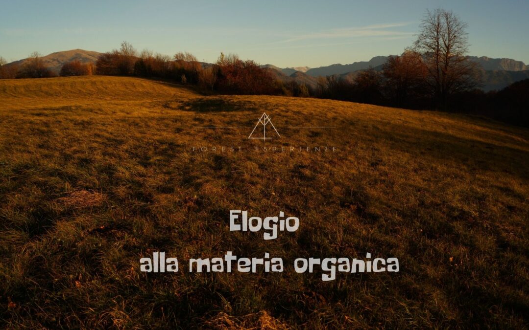 Escursione nelle Terre del Planino