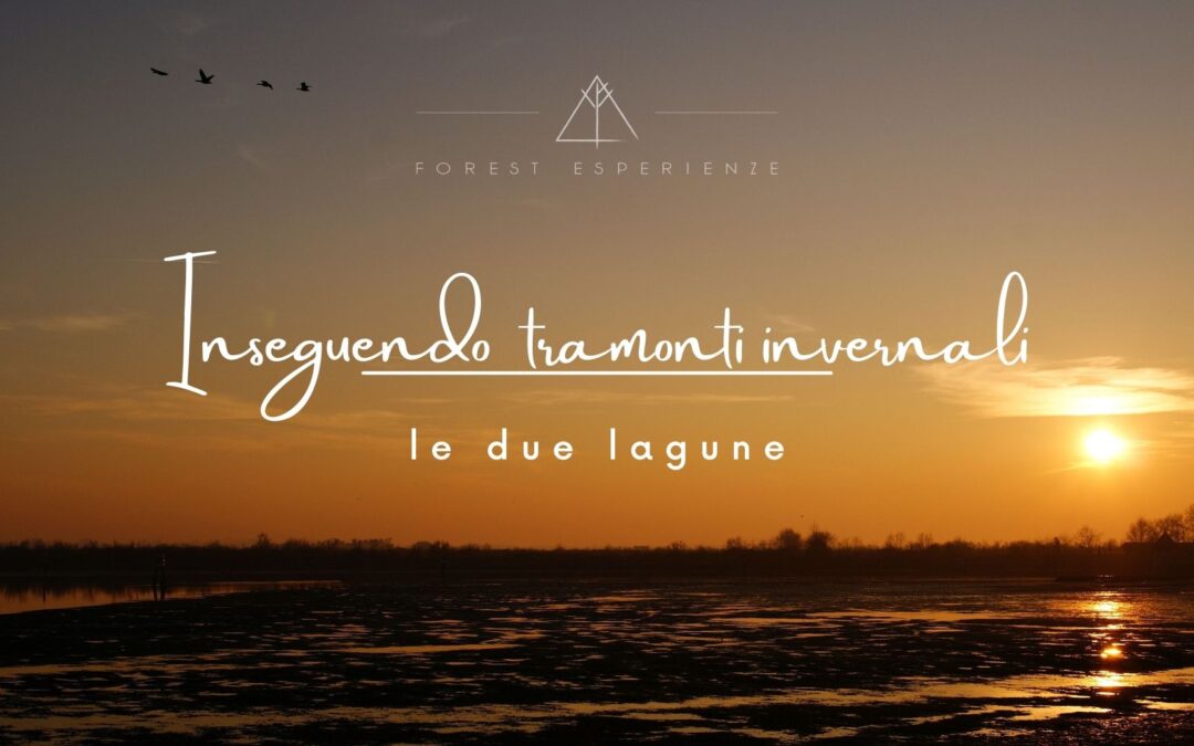 Al tramonto tra le lagune di Grado e Marano