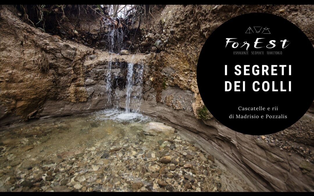 Escursione lungo i rii di Madrisio e Pozzalis