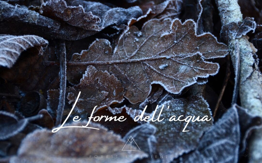 Escursione sulla brina della Val Colvera