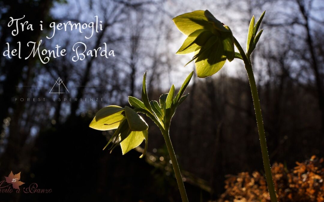 Invito a Pranzo nelle Valli del Natisone – Escursione tra Alberone e Natisone