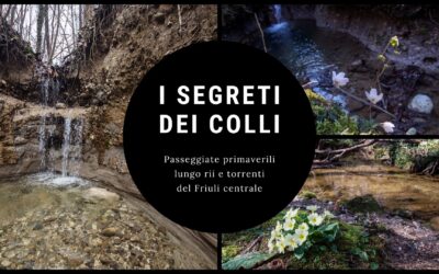 I Segreti dei Colli – Escursioni selvatiche lungo i rii del Friuli Centrale