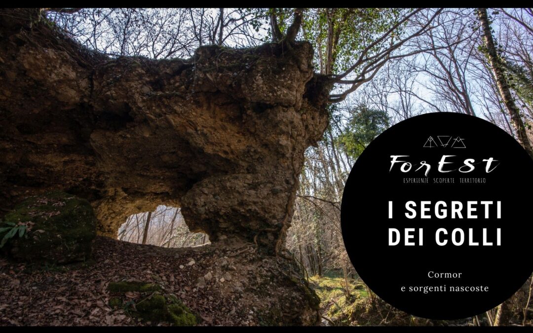 Escursione tra Cormor e sorgenti nascoste