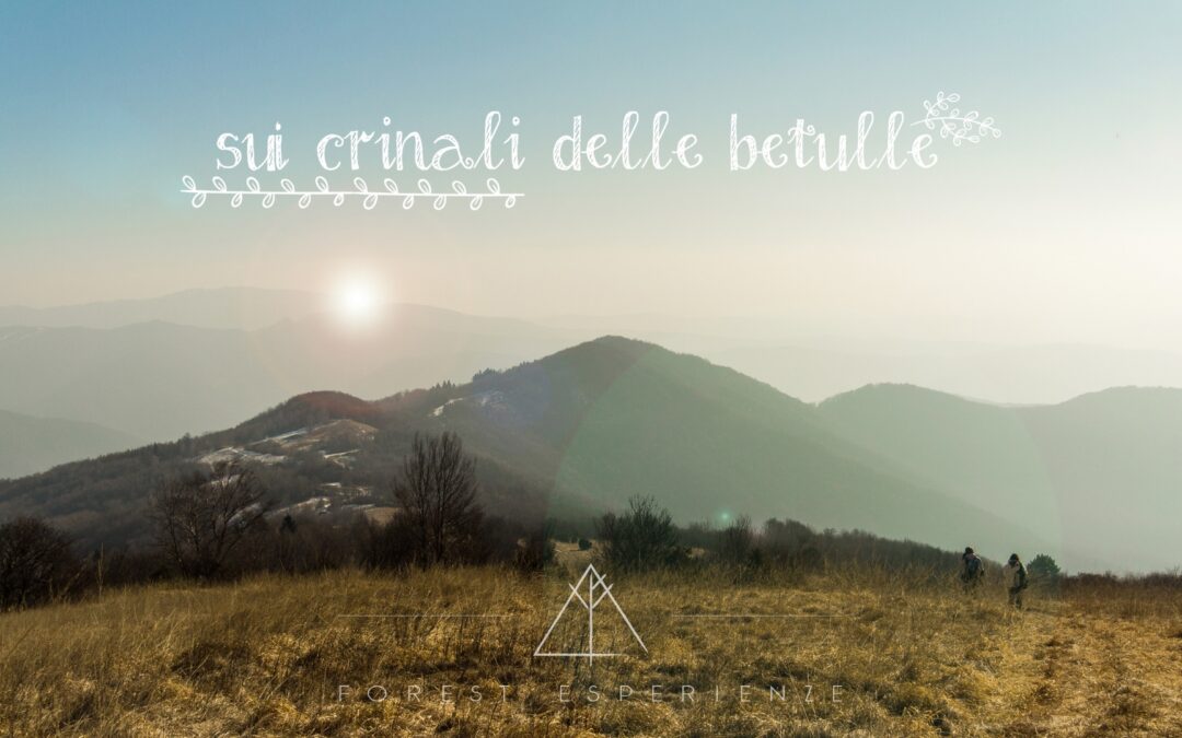 Escursione sulle dorsali del Monte Kraguenza
