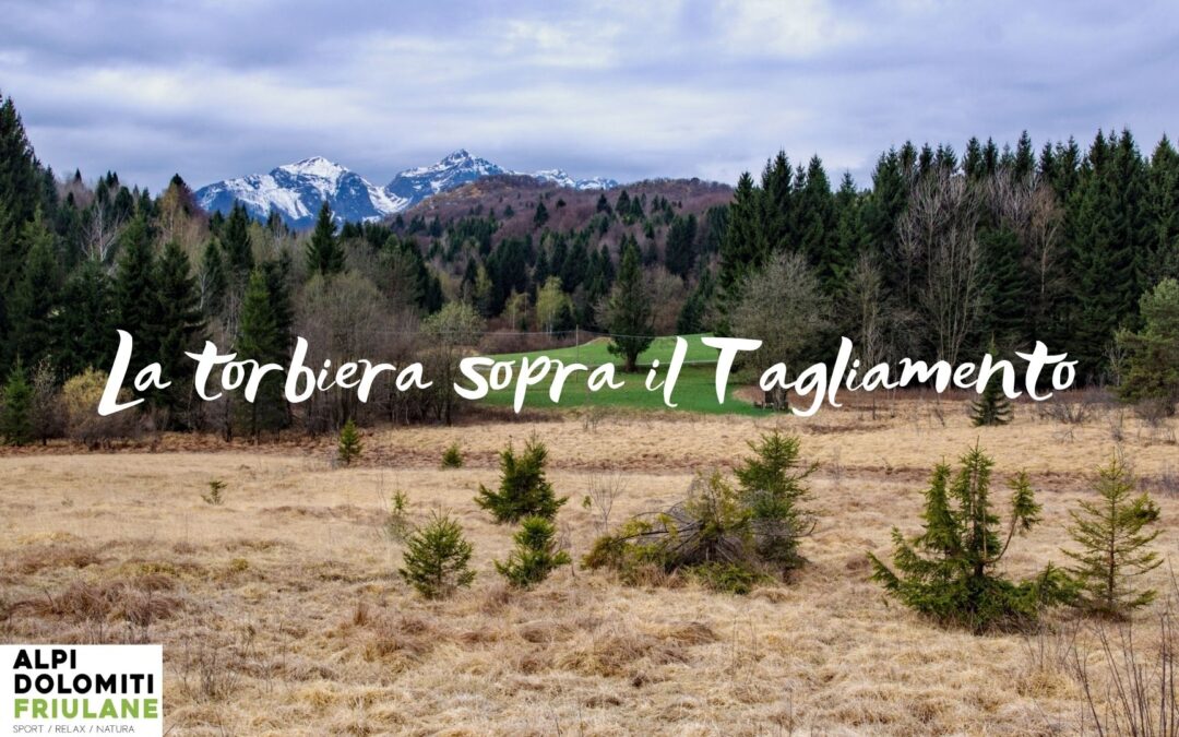 Escursione tra le torbiere in vista del Tagliamento