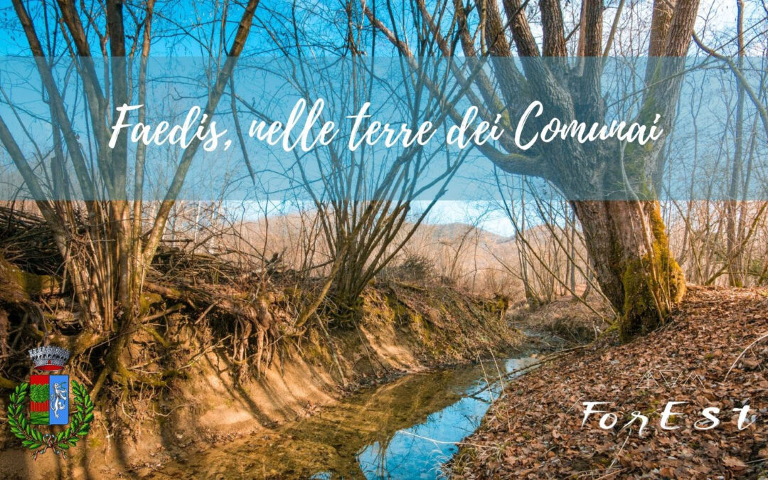 Faedis – nelle terre dei Comunai