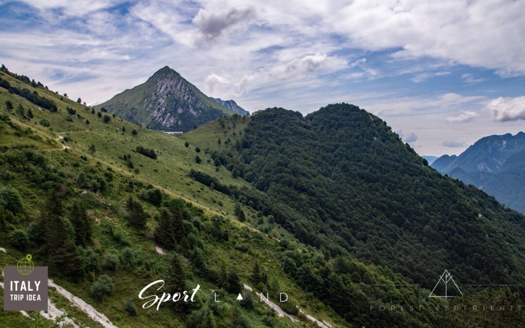 Ai piedi del Plauris – La Val Venzonassa fino a Malga Confin