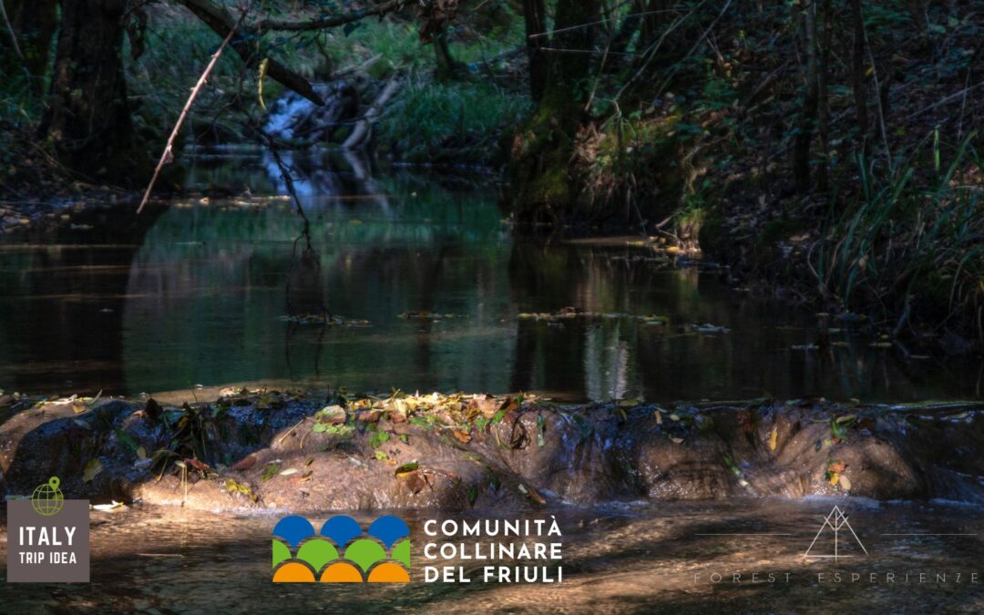 Passeggiata al tramonto lungo le acque del Lavia