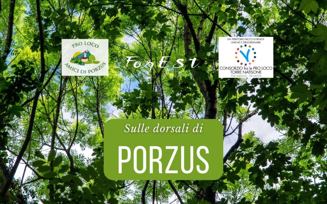 Escursione sulle dorsali di Porzus