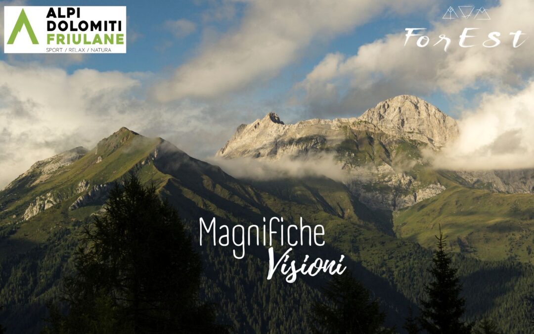 Dai Piani di Vas al Monte Talm