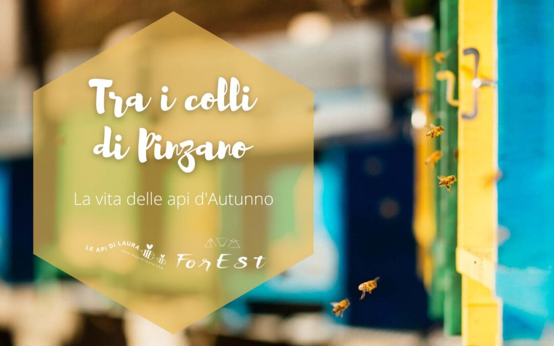 Tra cascate e sorgenti a Pinzano – Le Api di Laura in Autunno