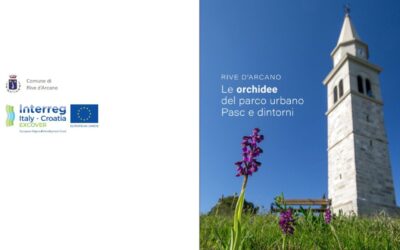 Nuovo opuscolo naturalistico “Le orchidee del Parco urbano Pasc e dintorni”