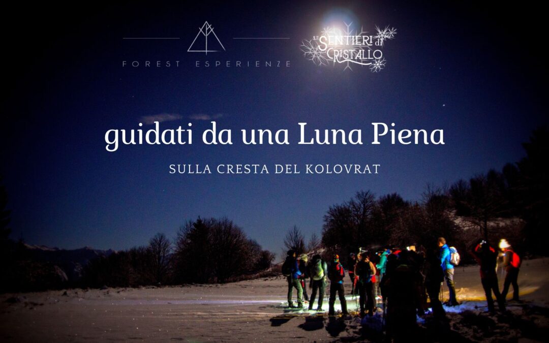 Neve e luna piena sulla dorsale del Kolovrat