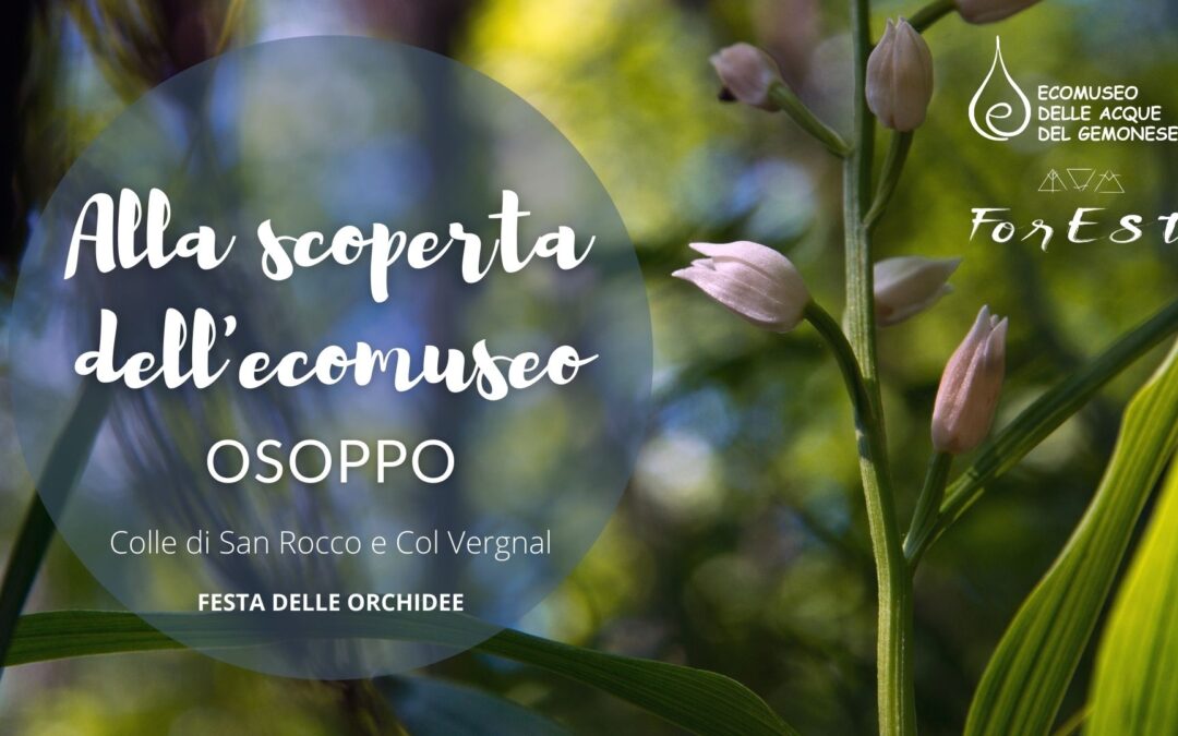 Alla scoperta dell’Ecomuseo delle Acque – Le orchidee di Osoppo